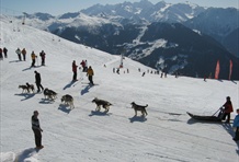 Verbier